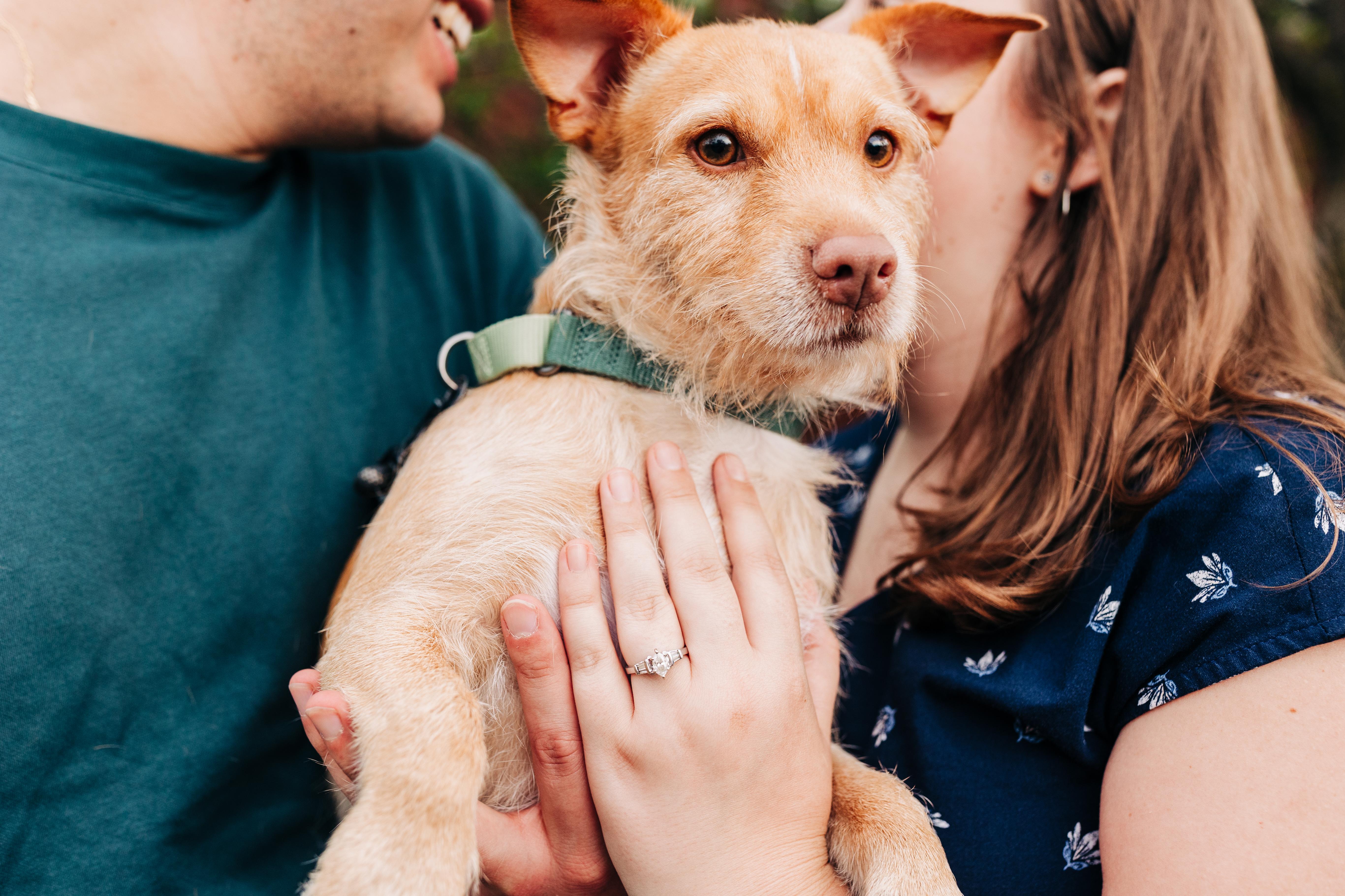 The Wedding Website of Whitney Bentley and Sam Liu