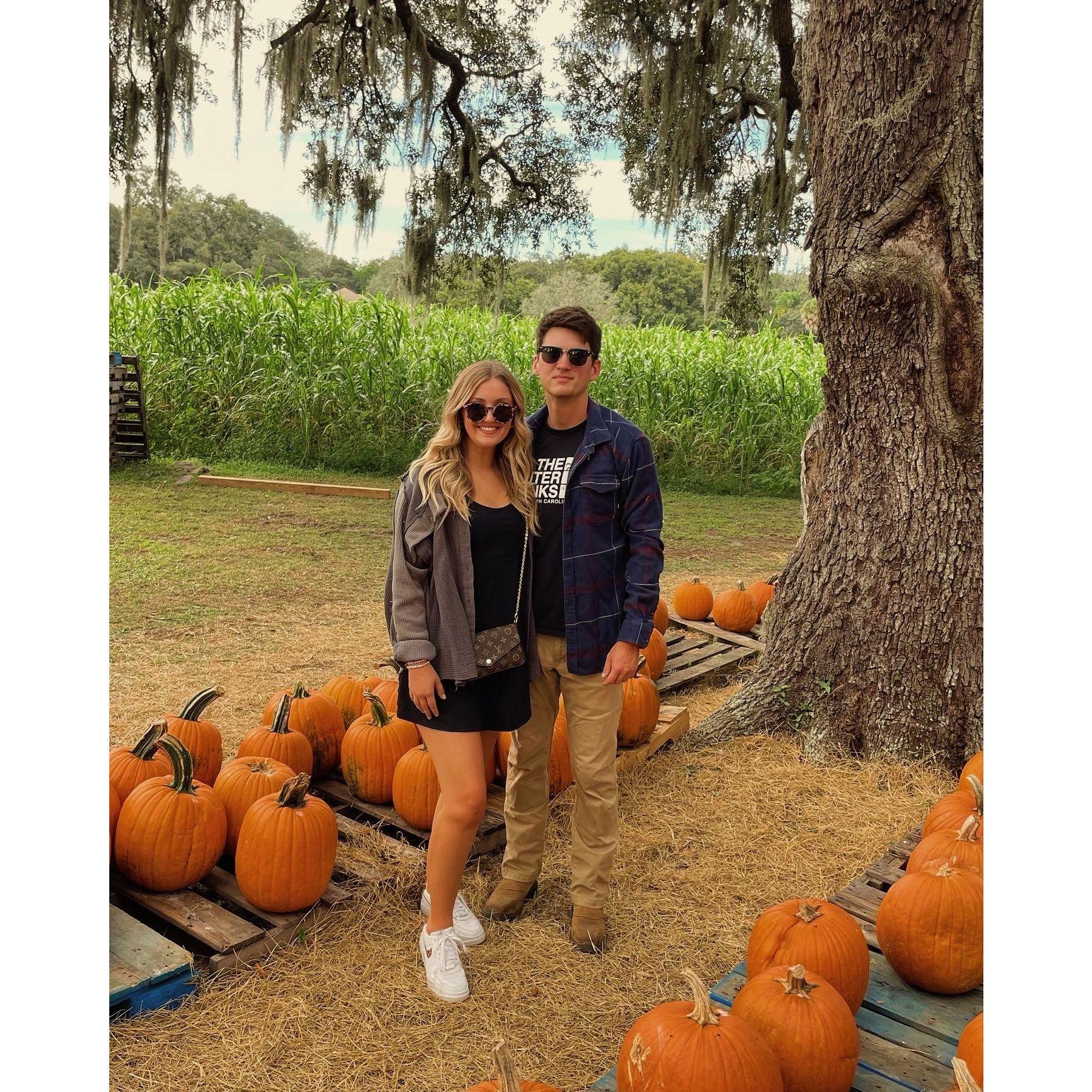 Trip to the pumpkin patch!