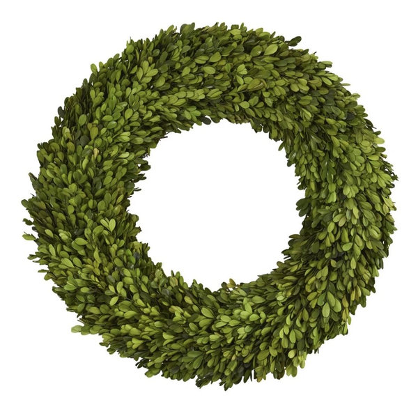 One Allium Way® Preserved Boxwood Greenery Wreath & Reviews | Birch Lane