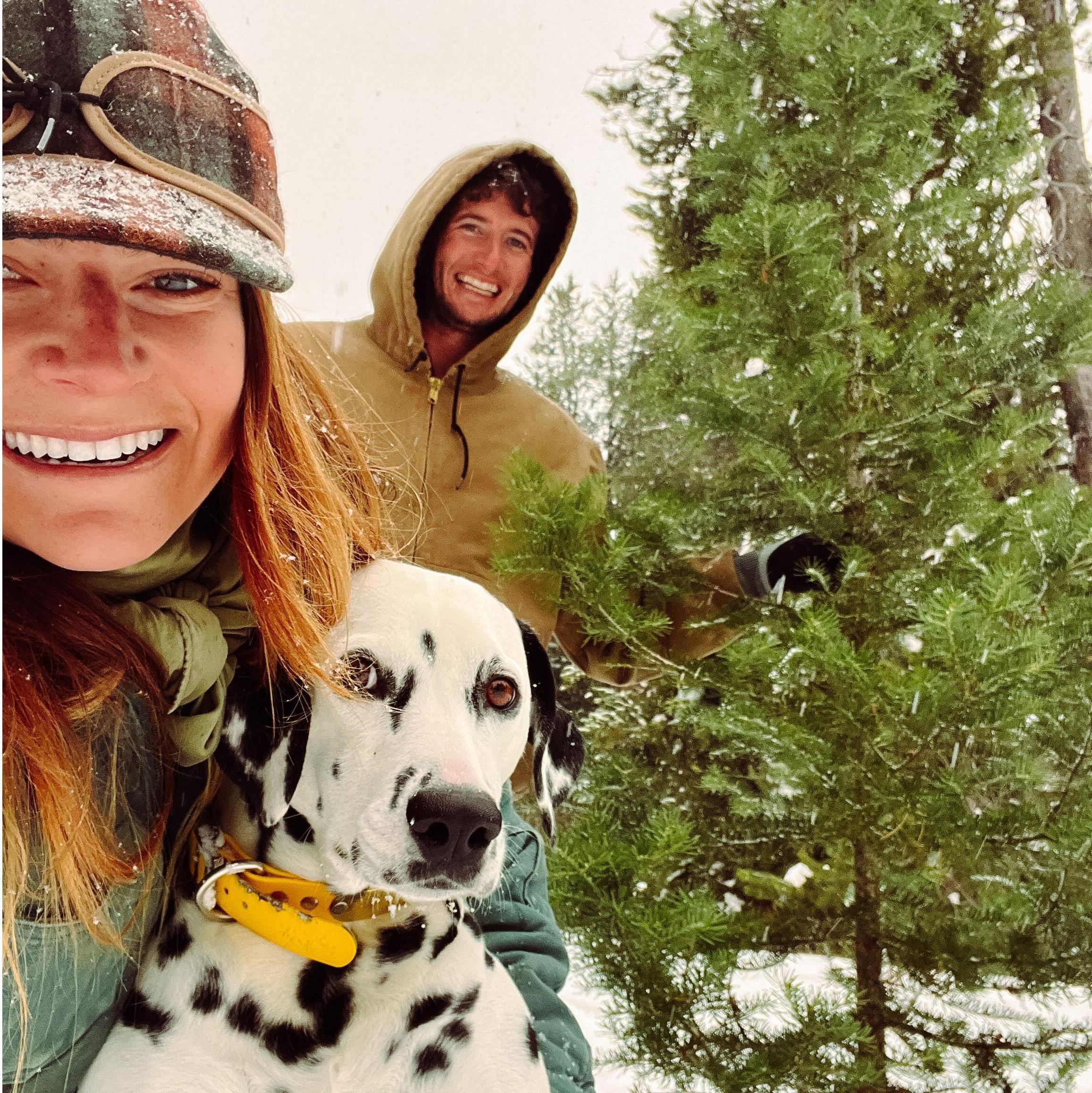 christmas tree shopping in the backyard!