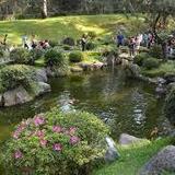 Bosque Los Colomos