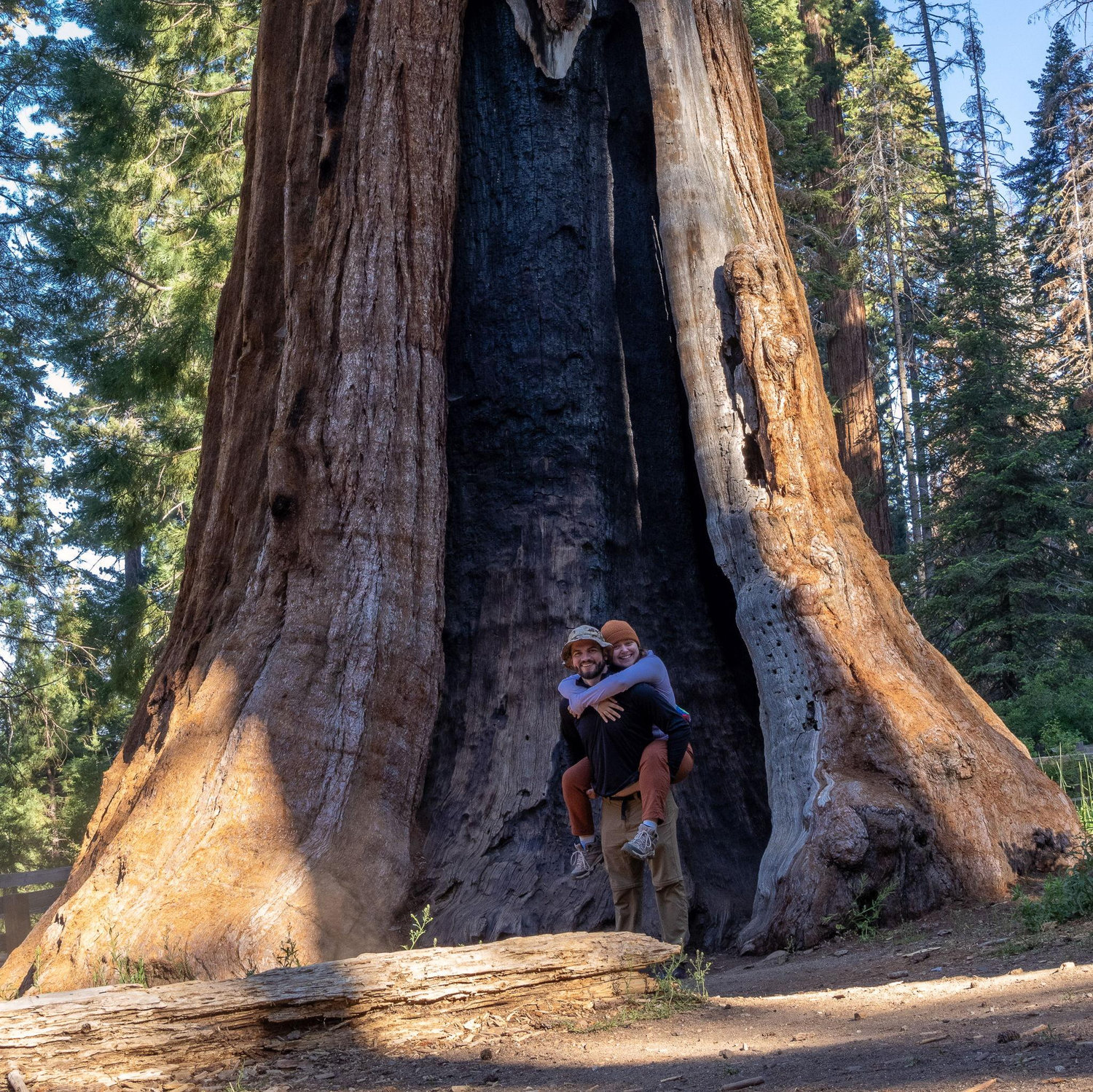 Redwood NP 2024