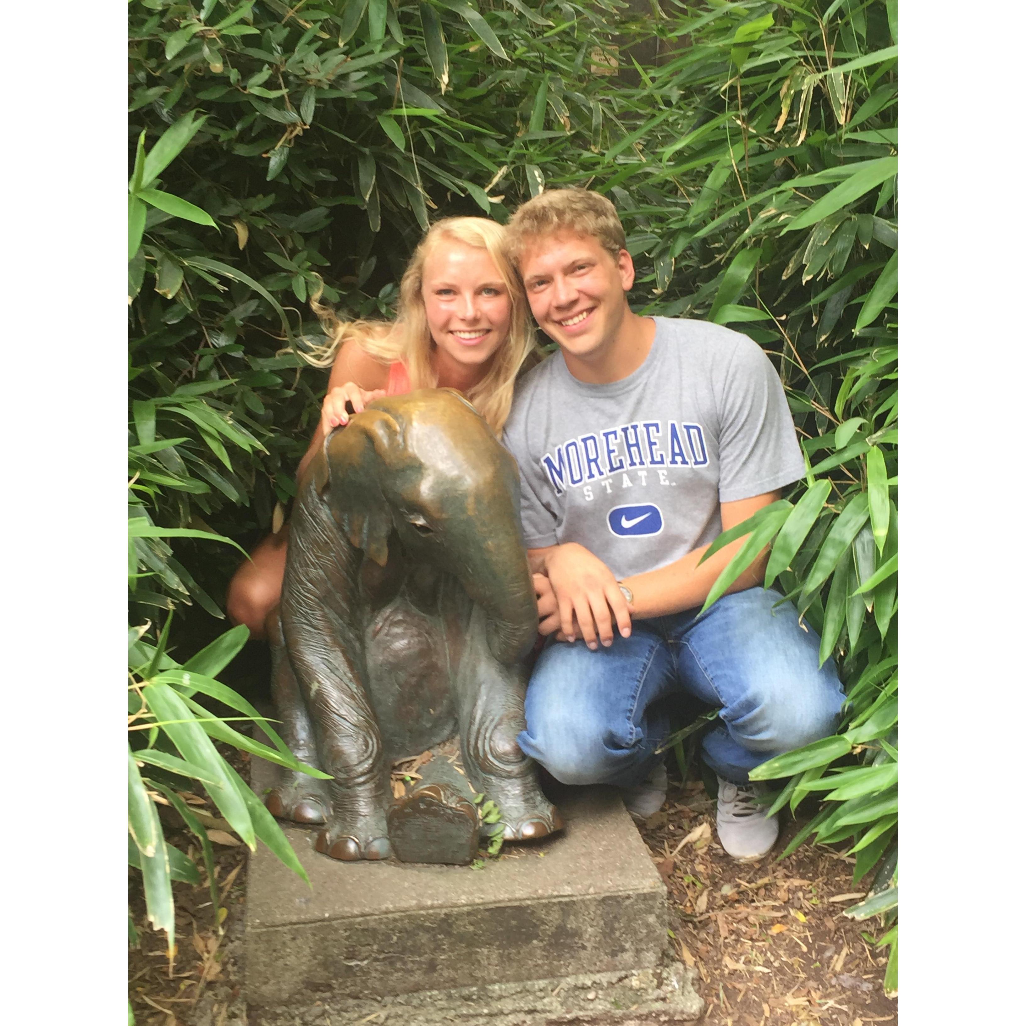 The zoo is one of our favorites places, we have been almost every summer since we started dating!