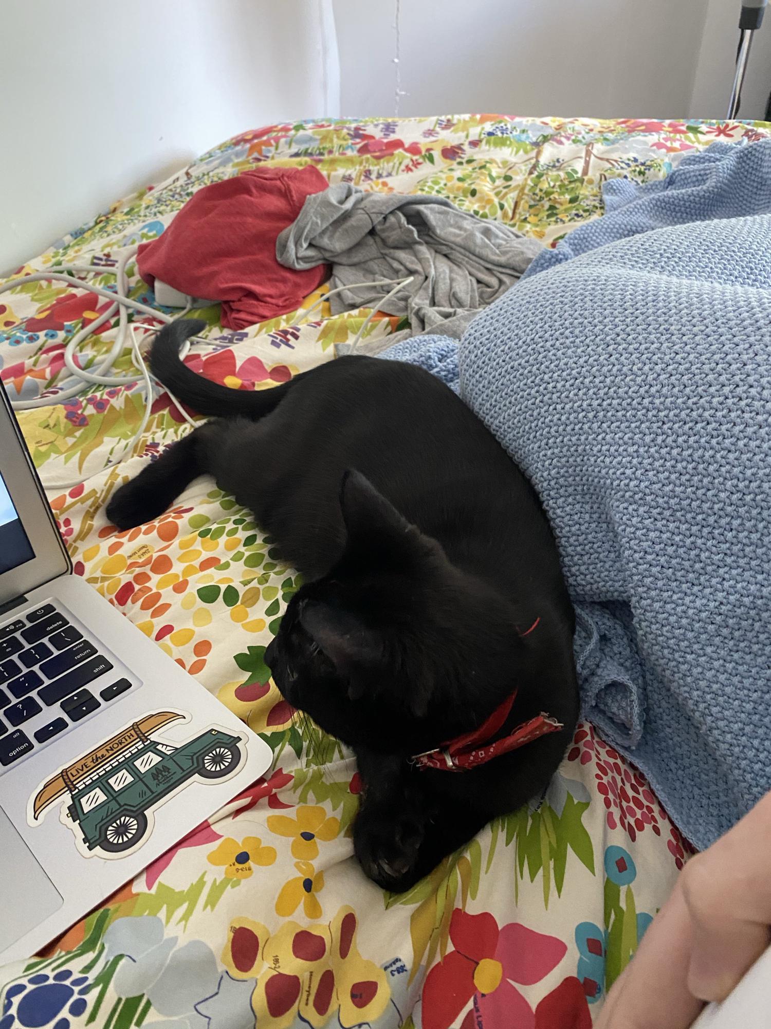 My best buddy
