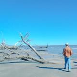 Botany Bay Island