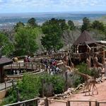 Cheyenne Mountain Zoo | Colorado Springs