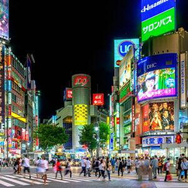 Honeymoon Private Tokyo Tour