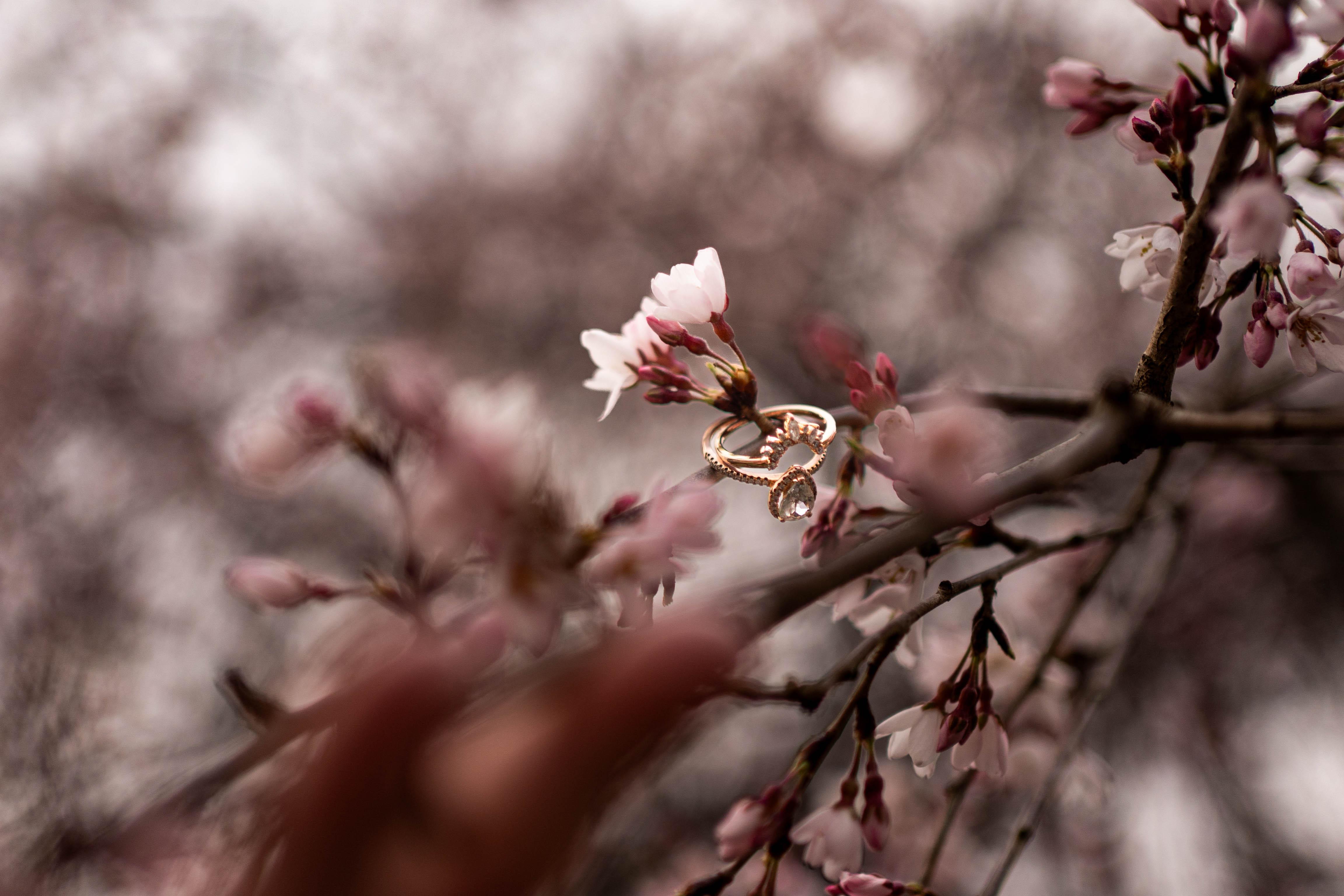 The Wedding Website of Alexander Taylor and Katie Miller