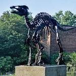 McClung Museum of Natural History & Culture