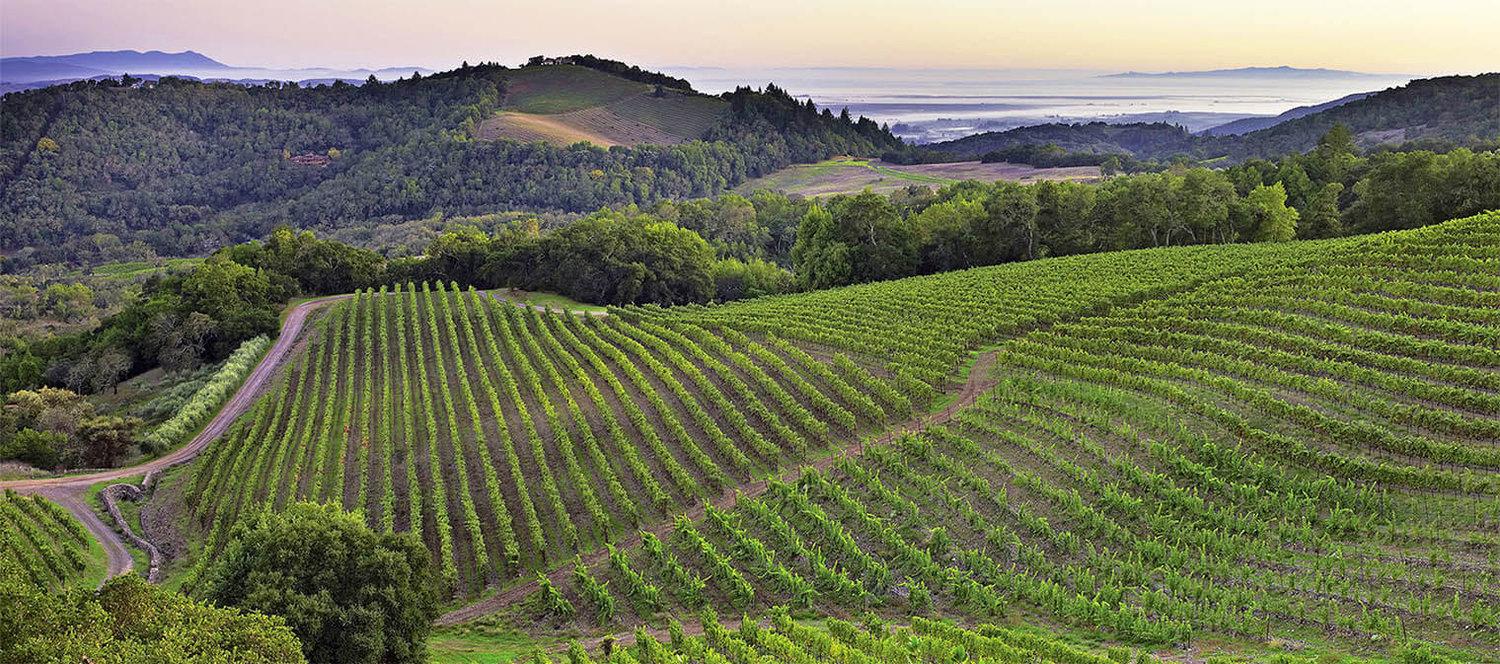 The Wedding Website of Gabriella Macias and Richard Elles