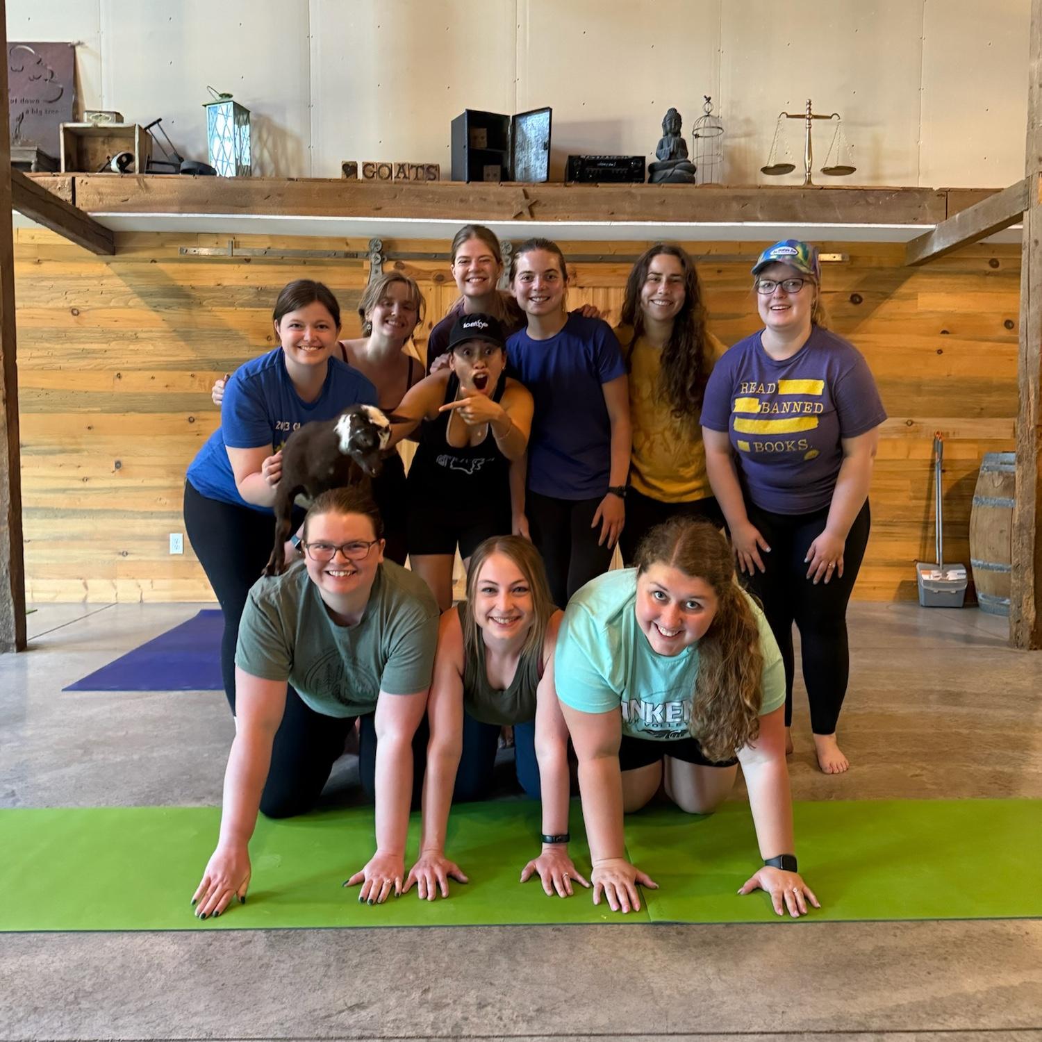 Goat yoga for my bachelorette in Galena!