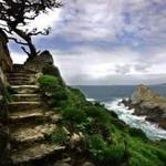 Point Lobos State Natural Reserve