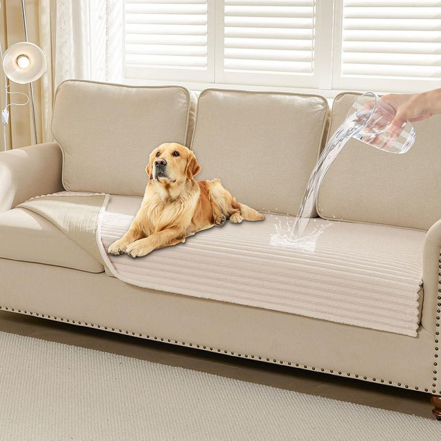 HAOMAIJIA Waterproof Couch Cover for Dogs Washable,Fuzzy Pet Couch Covers for Sofa,Thick Soft Dog Bed Cover Non-Slip Couch Covers for 3 Cushion Couch Sofa Pet Friendly (Off White, 35" x 74")