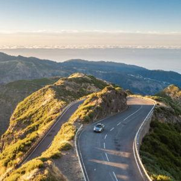 Car Rental