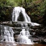 Laurel Falls Trail