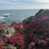 Black Point Beach