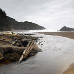 Fogarty Creek State Recreation Area