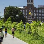 Ponce City Market + the Beltline