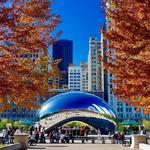 The Bean