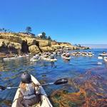 Sea Kayaking and Stand-Up Paddle Boarding