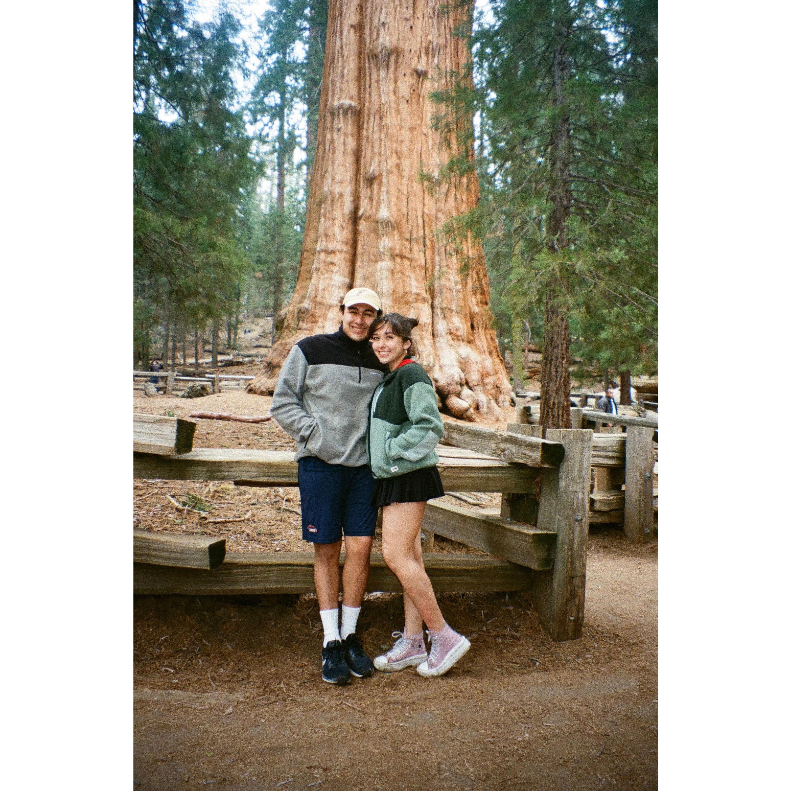 Sequoia National Forest (2022)