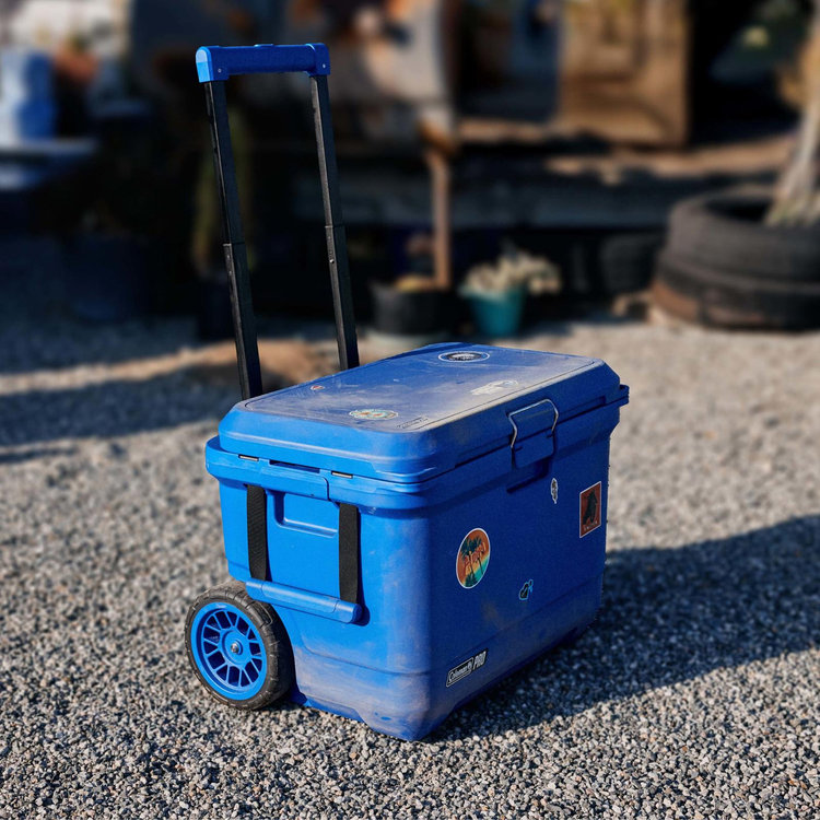 Coleman, Pro 55-Quart Hard Cooler | Zola