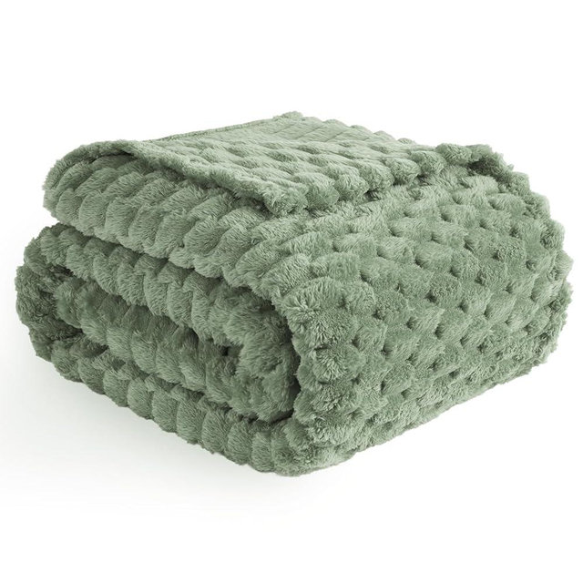 Vessia Flannel Fleece Twin Blanket, 3D Jacquard Sage Green Fuzzy and Warm Blanket for Couch, Sofa, Bed, 300GSM Super Soft Touch Cozy Home Decor for All Seasons (60x80 inches)