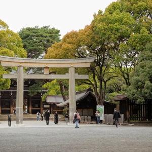 Meiji Shrine Tour for Two