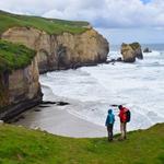 Dunedin Walks
