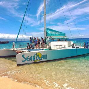 Sea Maui - Half-Day West Maui Snorkeling