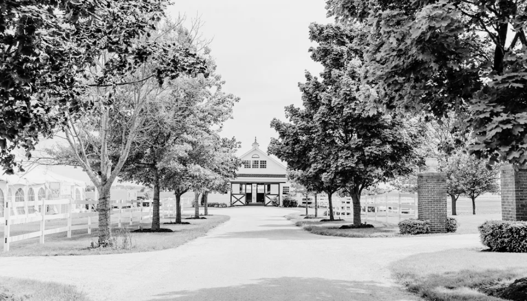 The Wedding Website of Kalee Cragg and Alex Ruettiger
