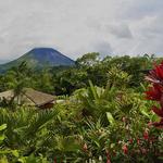 Native's Way Costa Rica - Tours and Transfers