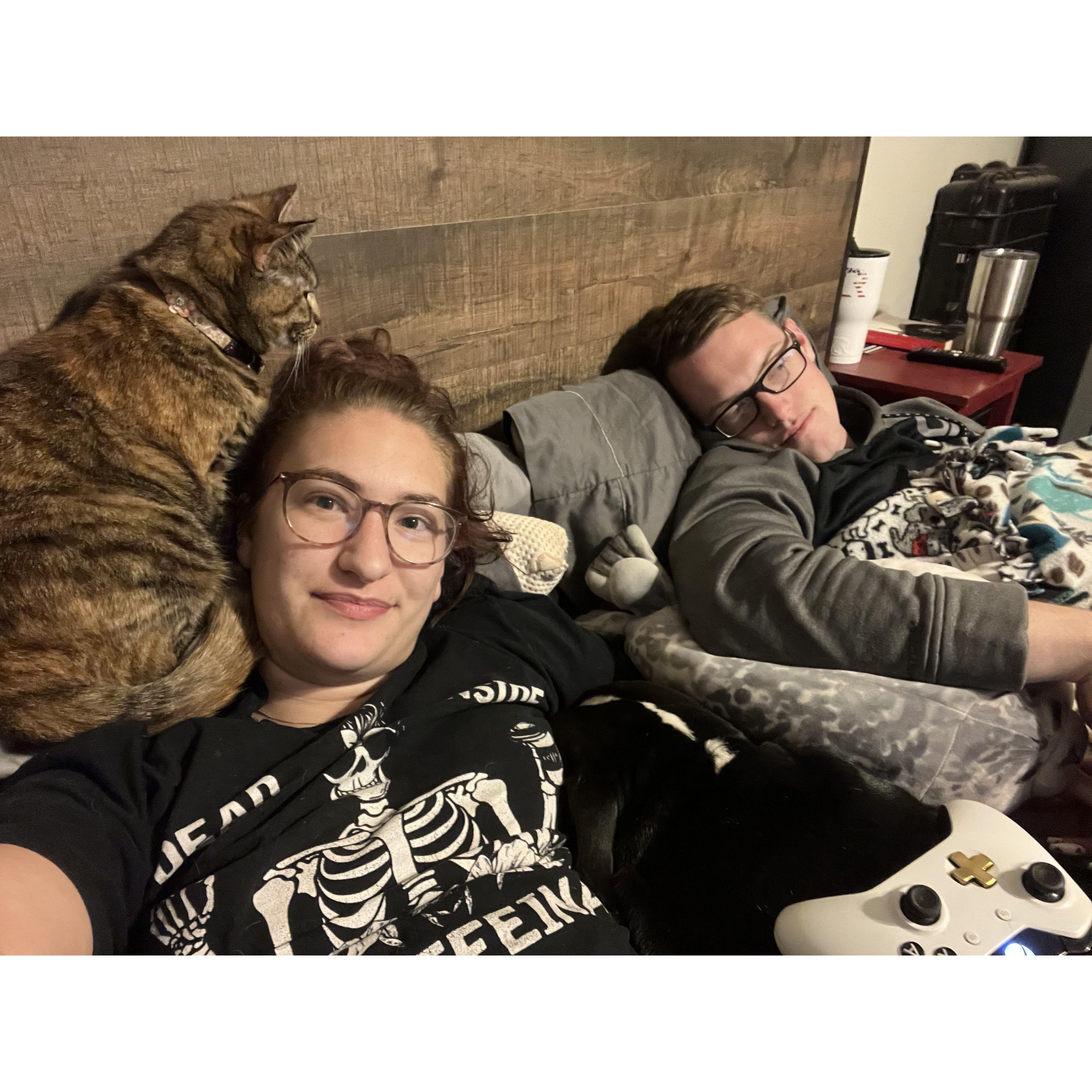 This is how we normally spend our days, evenings, weekends... (the whole family is here, can you spot Chance?)