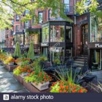 Newbury Street Shops