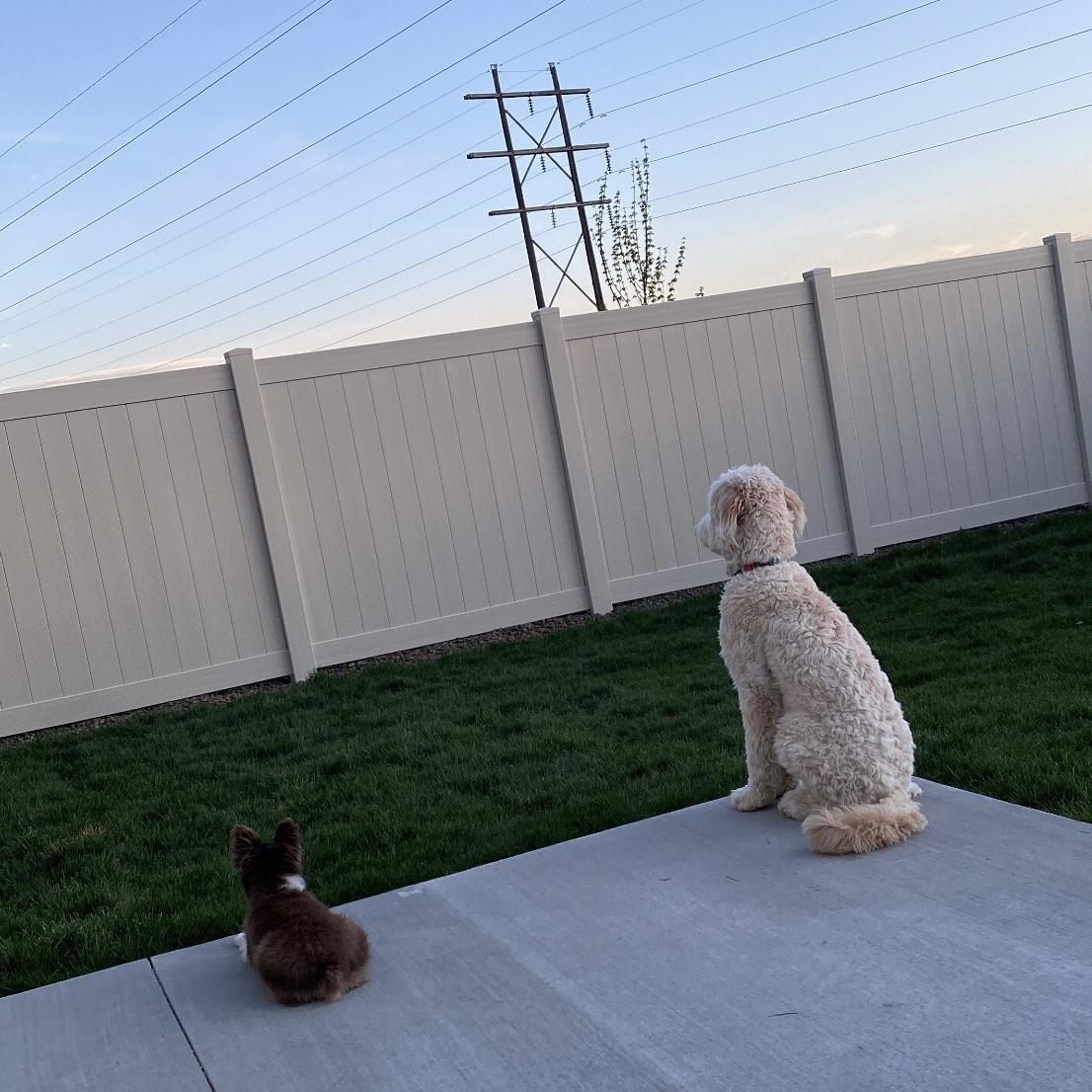 Mostly so our pups could have a yard!