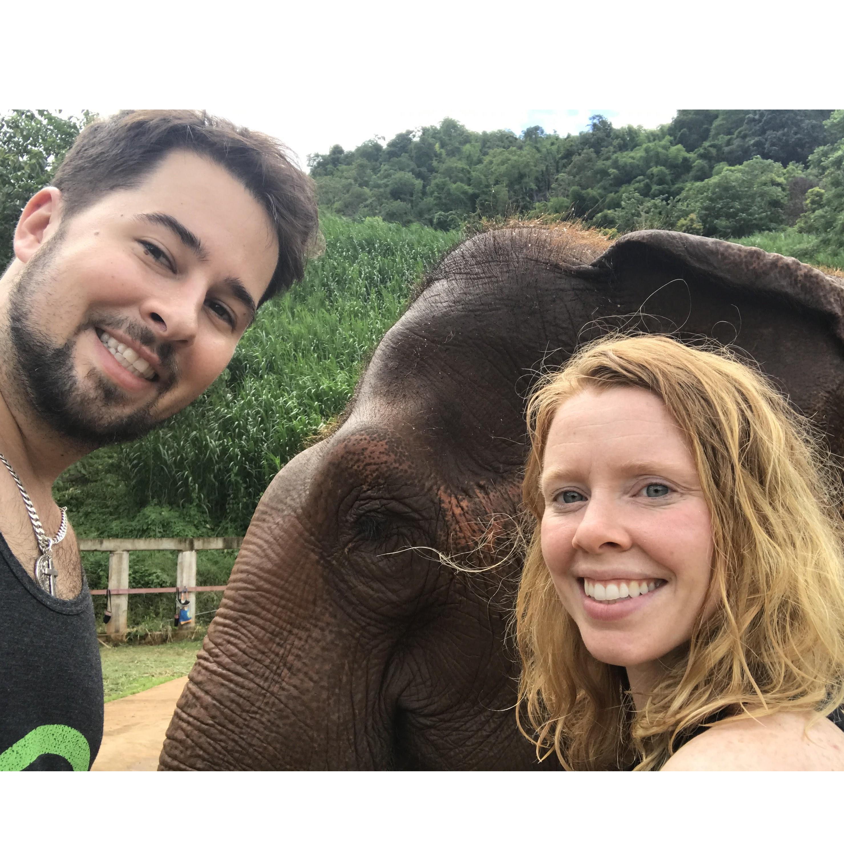 Chiang Mai, Thailand at the Elephant Nature Park.