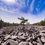 Hickory Run Boulder Field