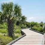 Myrtle Beach State Park