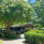 The Olde Mecklenburg Brewery & Biergarten