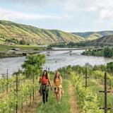 Idaho Wine Country