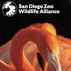 San Diego Wildlife Zoo & Safari Park Annual Pass (San Diego Resident)