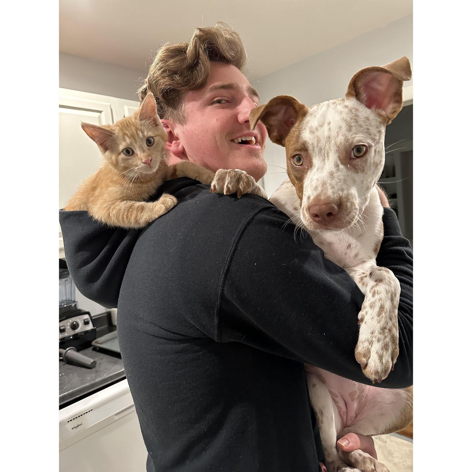 Just a little craziness with a puppy and a kitten