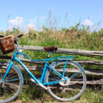 Bike Tours and Rentals