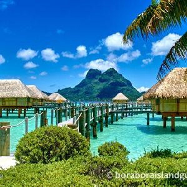 Honeymoon Fund