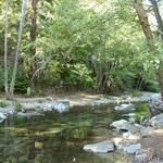 Pfeiffer Big Sur Campground