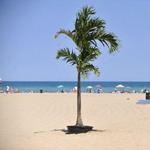North Beach