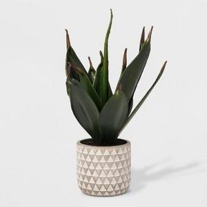 Faux Plant in Geometric Print Cement Pot - Project 62™