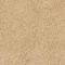 Camel Tan