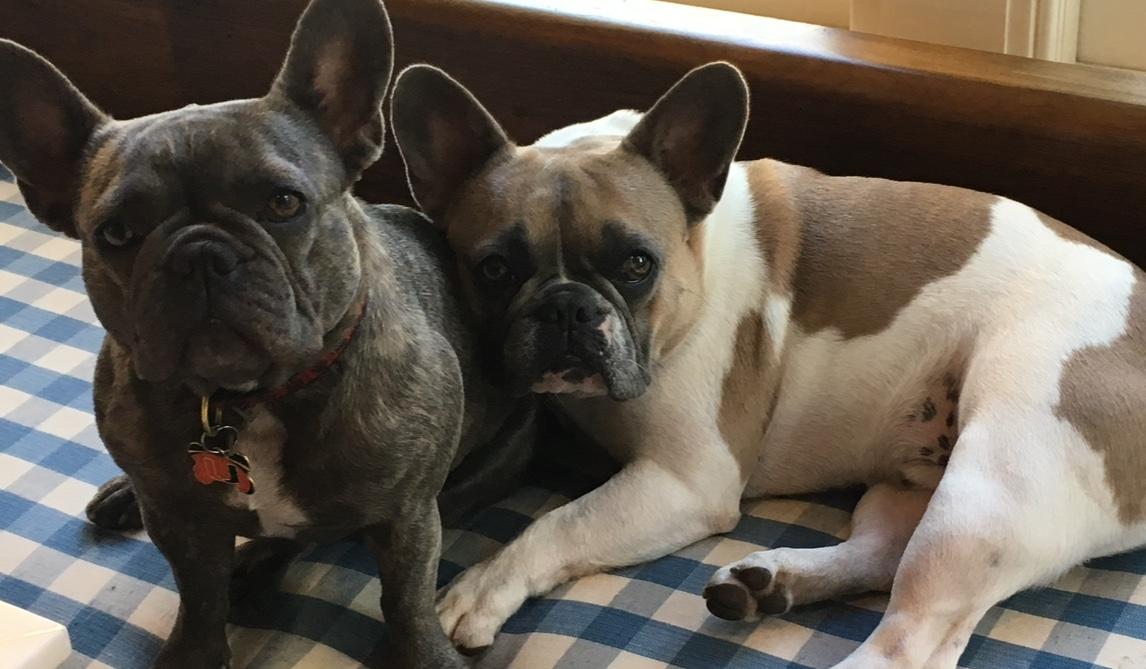 76bacb9f-a2c0-45e4-8f2f-045352f3d449