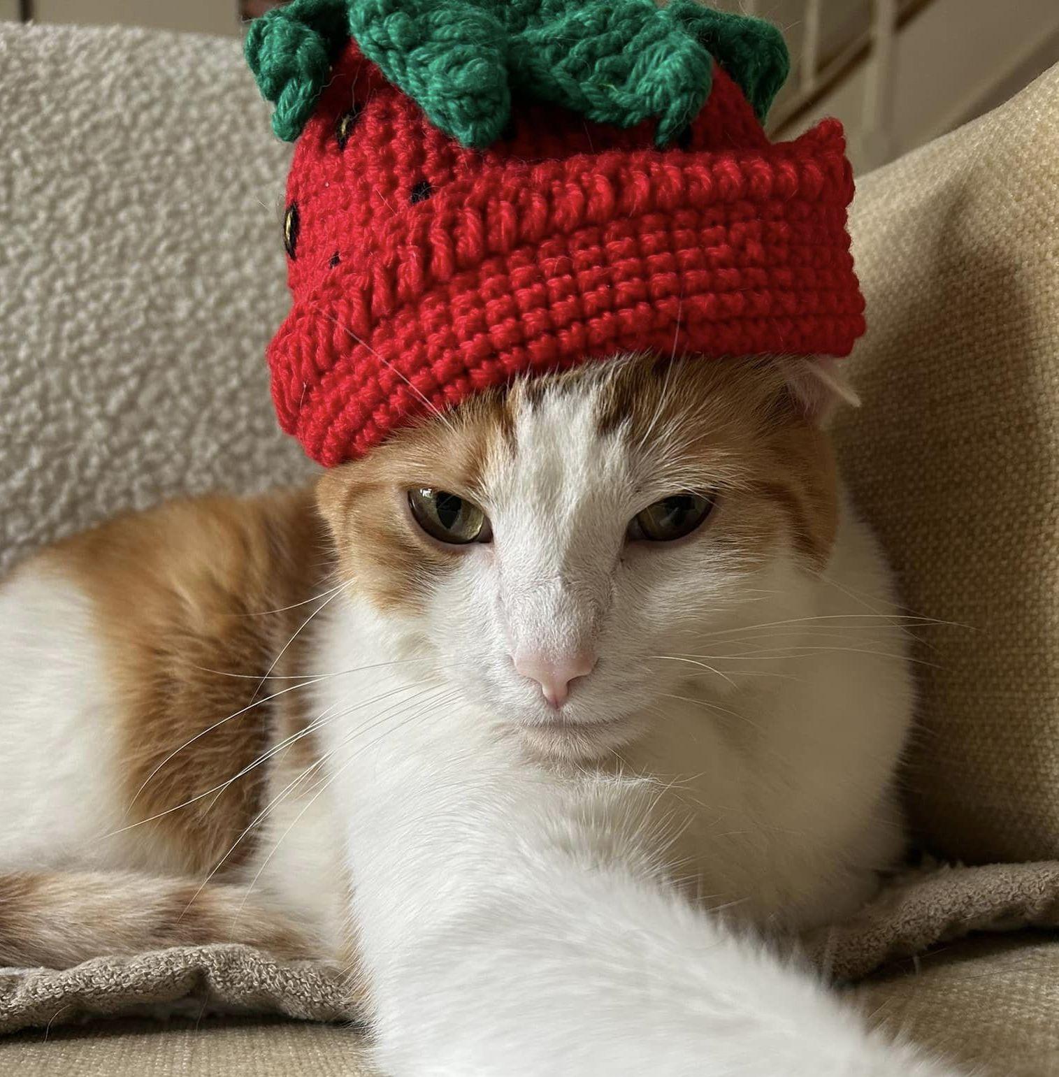 The Wedding Website of Samantha Maneval and Charles Yutkowitz